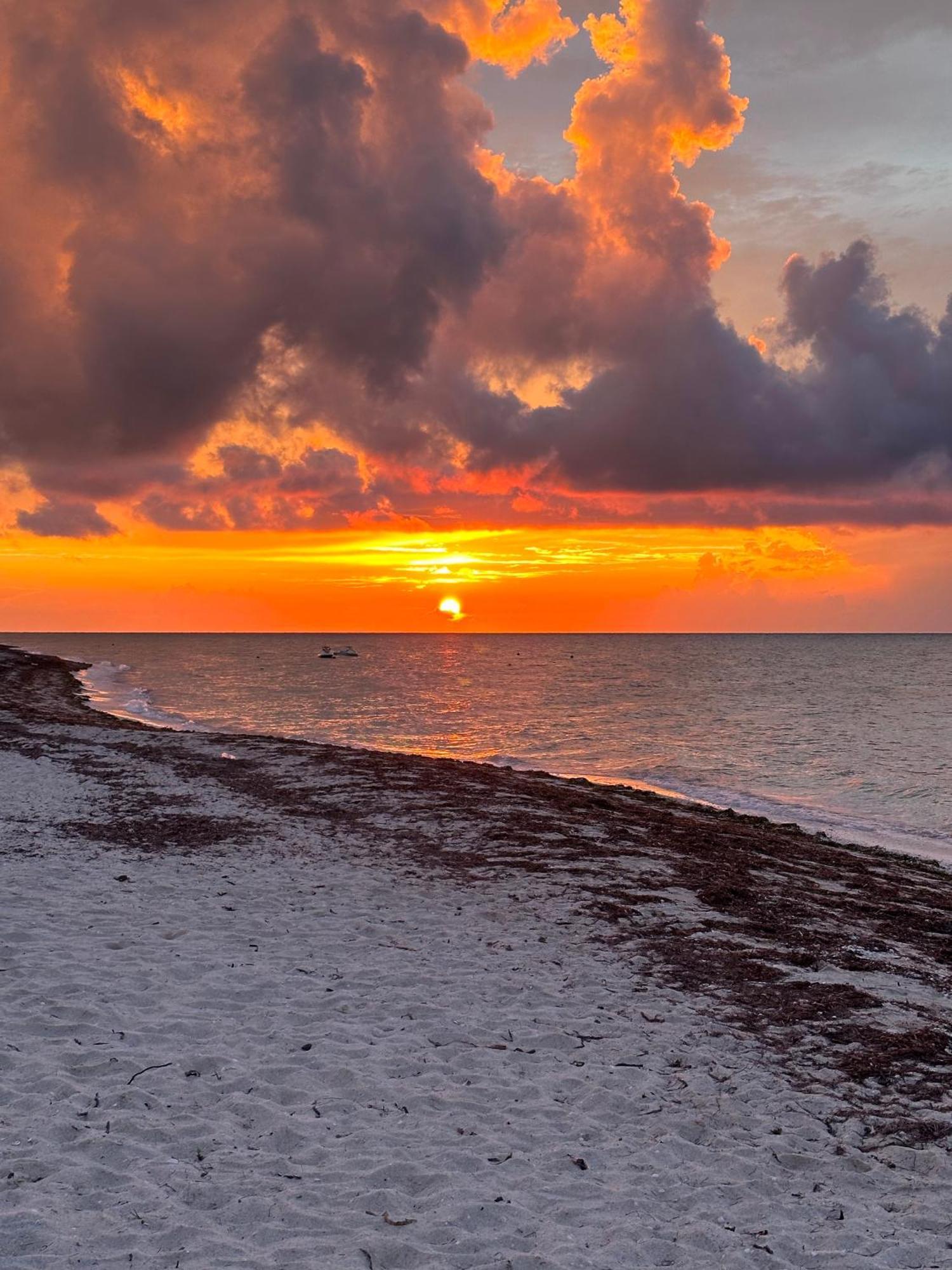 Tecnohotel Beach San Benito Eksteriør bilde